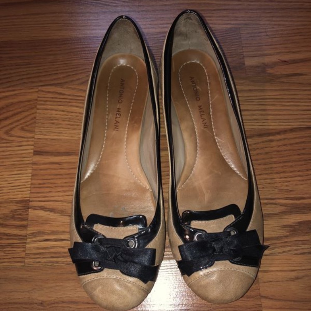Brown and Black Flats